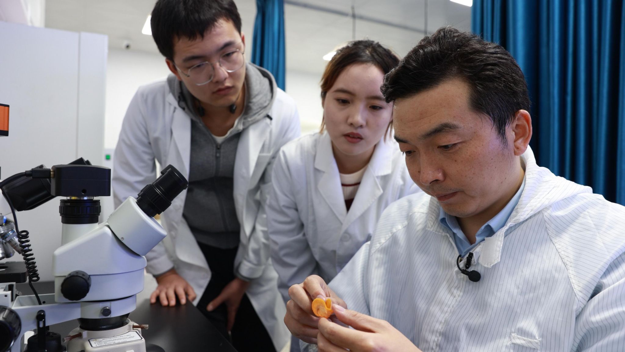 伟德bv国际体育