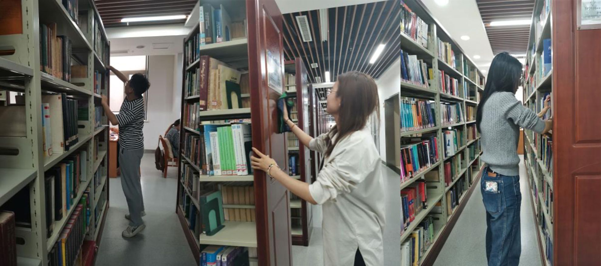 伟德bv国际体育