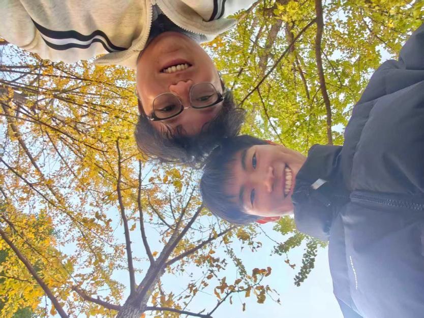 伟德bv国际体育