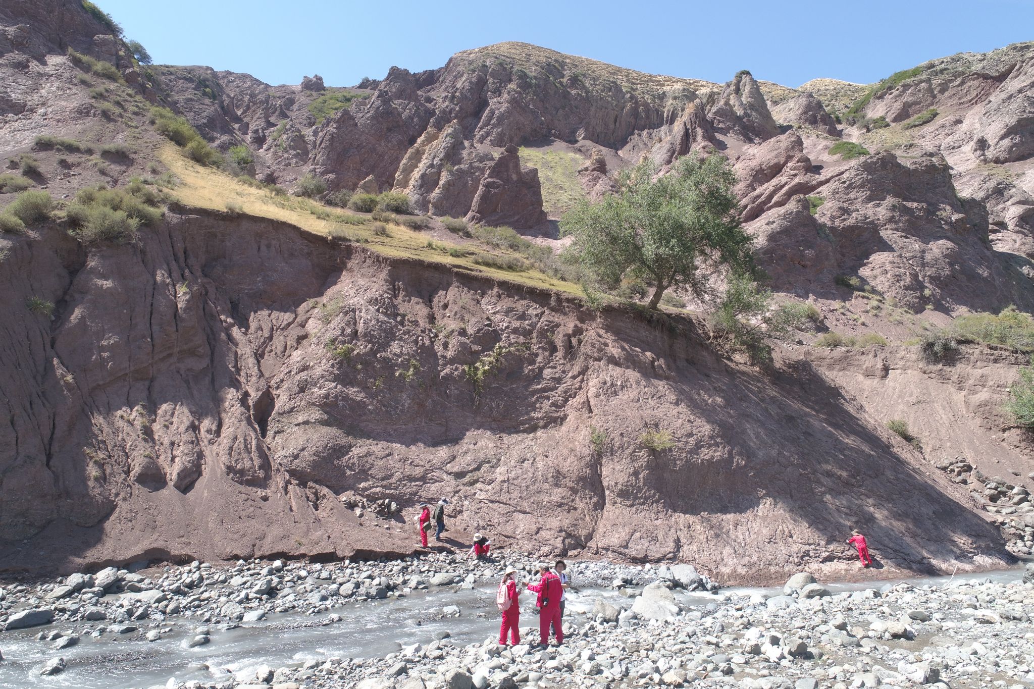 伟德bv国际体育