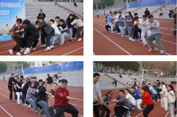 伟德bv国际体育