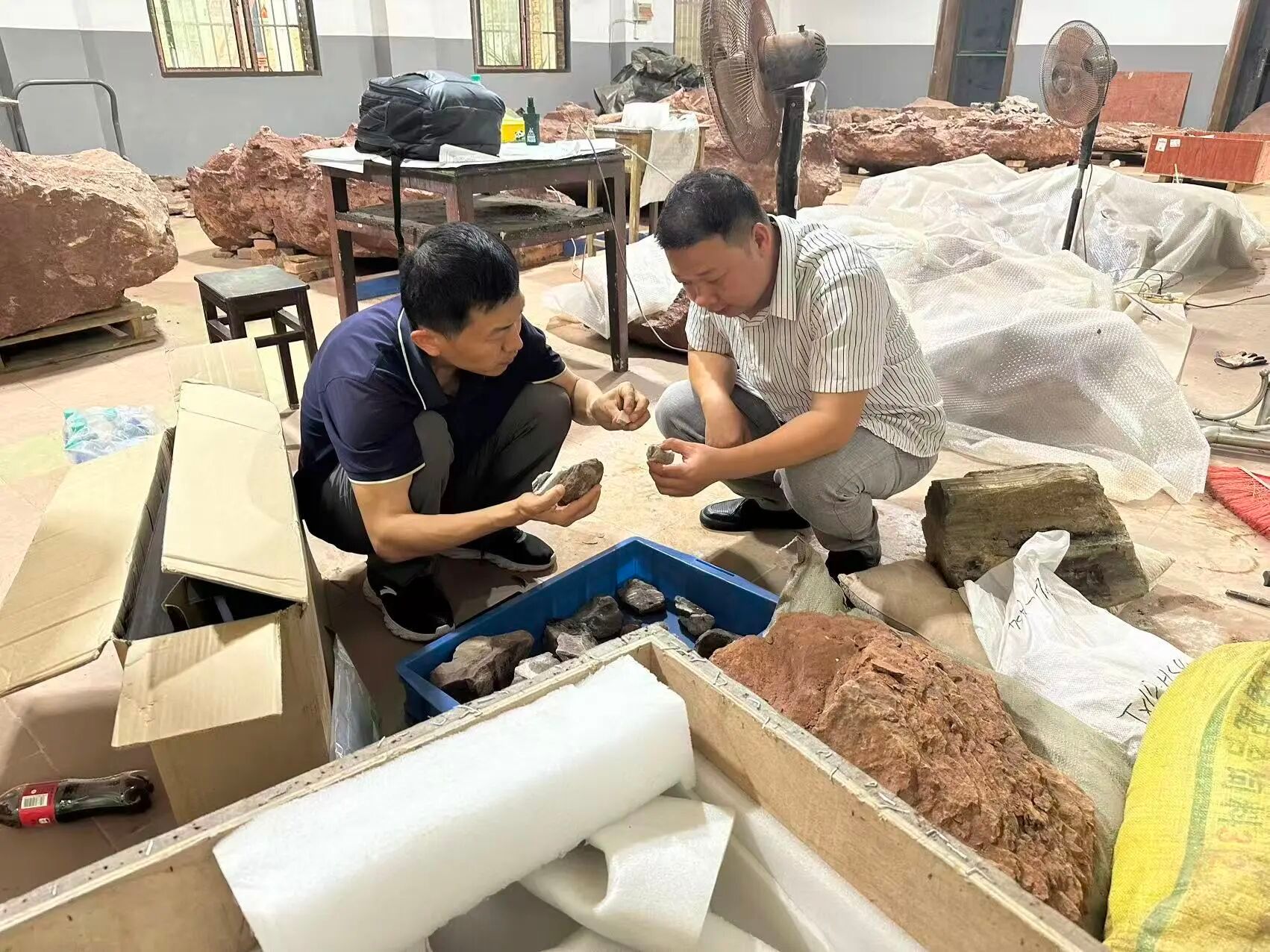 伟德bv国际体育