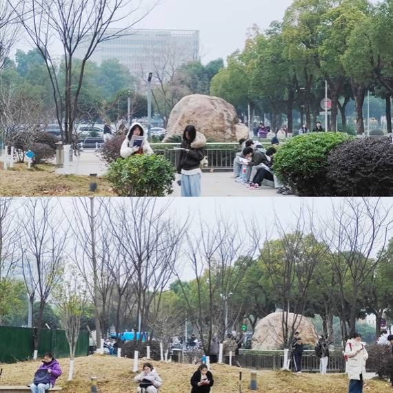 伟德bv国际体育