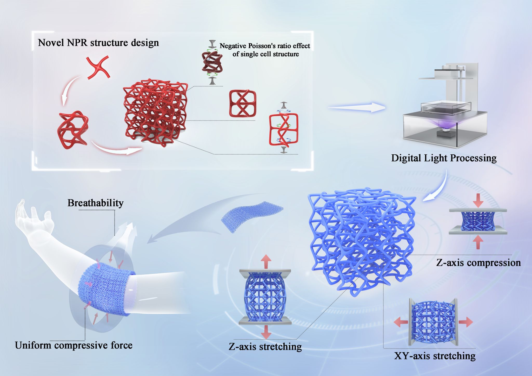 伟德bv国际体育