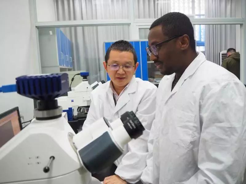 伟德bv国际体育