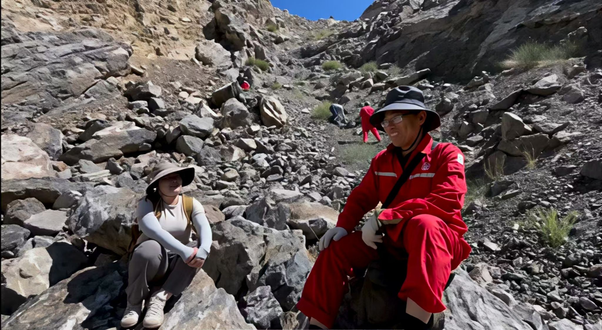 伟德bv国际体育