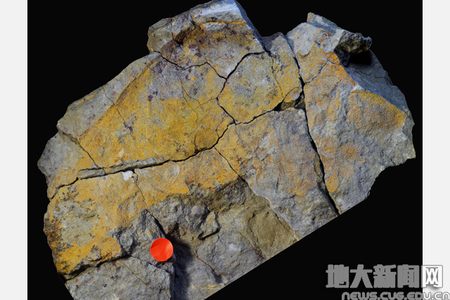 伟德bv国际体育