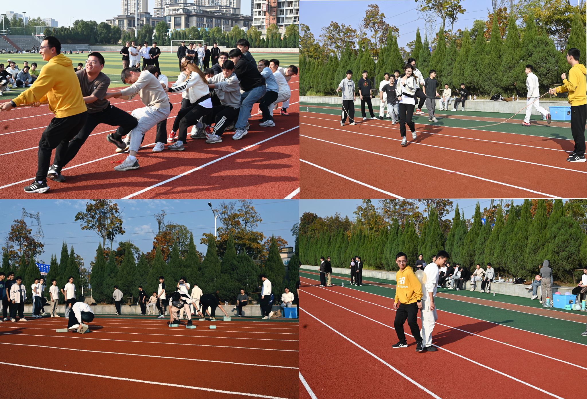 伟德bv国际体育