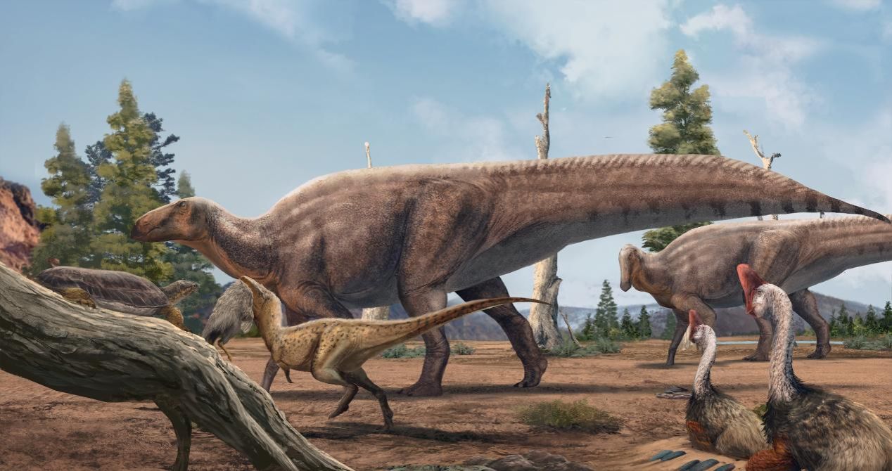 伟德bv国际体育