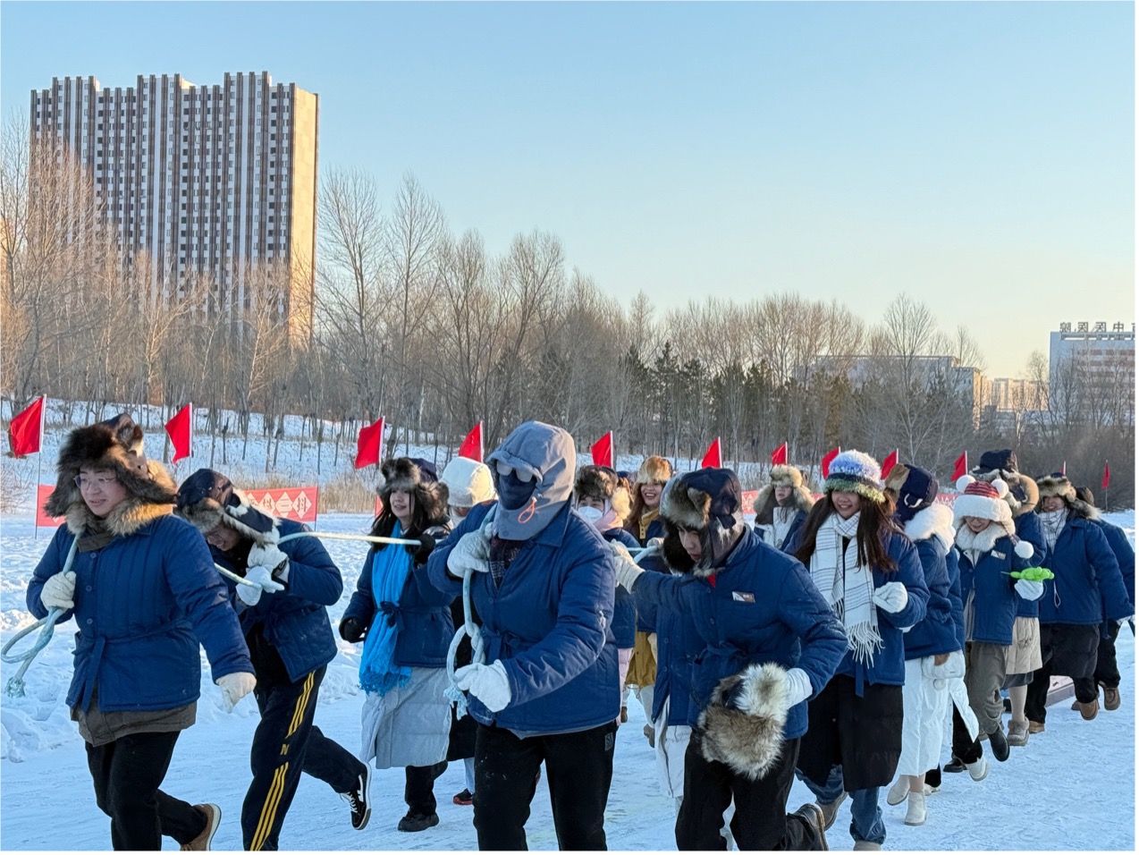 伟德bv国际体育