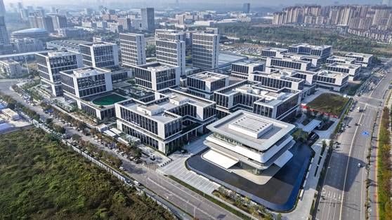 伟德bv国际体育